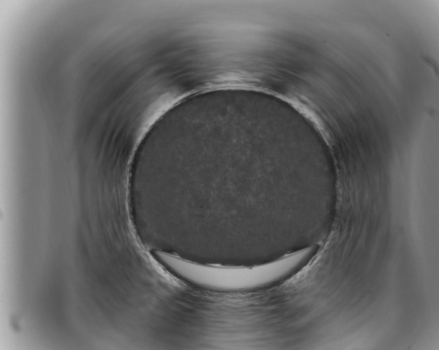 X0000097511333200802291611