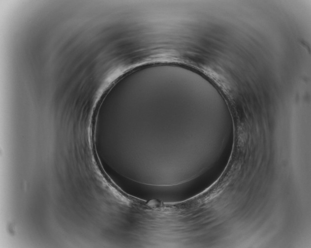X0000097511334200802291611