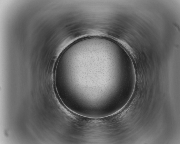 X0000097511335200802291611