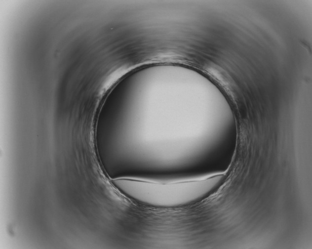 X0000097511336200802291611