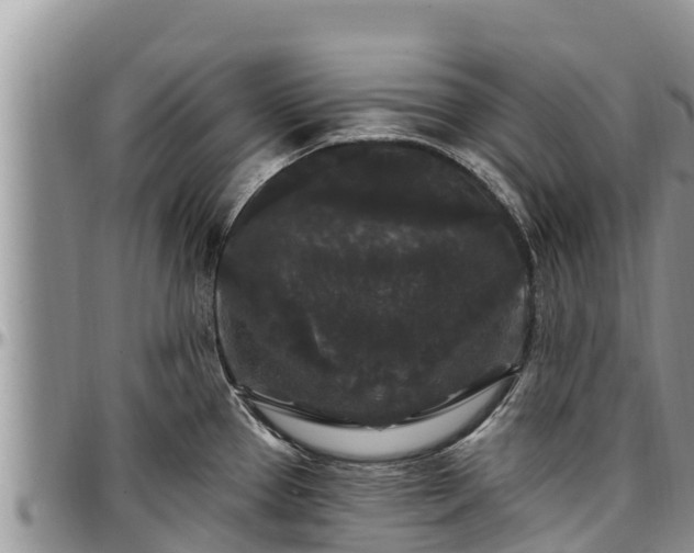X0000097511337200802291611