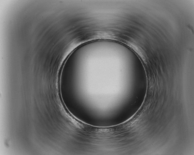 X0000097511339200802291611