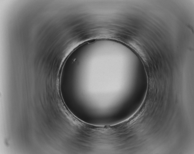 X0000097511340200802291611