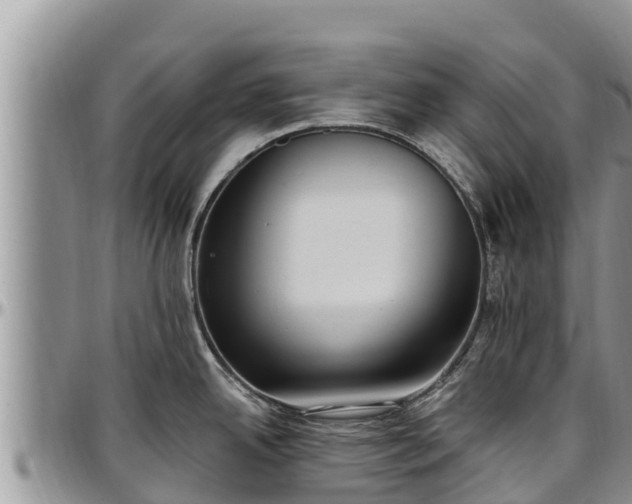 X0000097511342200802291611