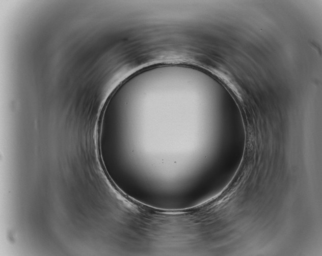 X0000097511343200802291611