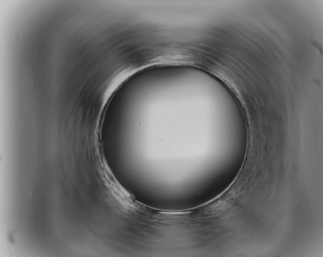X0000097511344200802291611