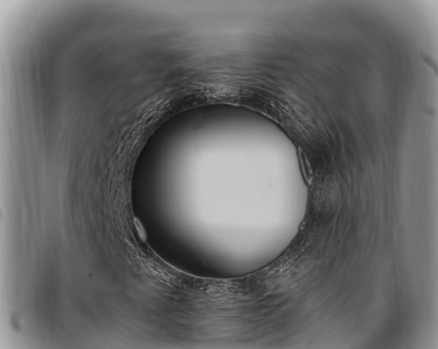 X0000097511345200802291610