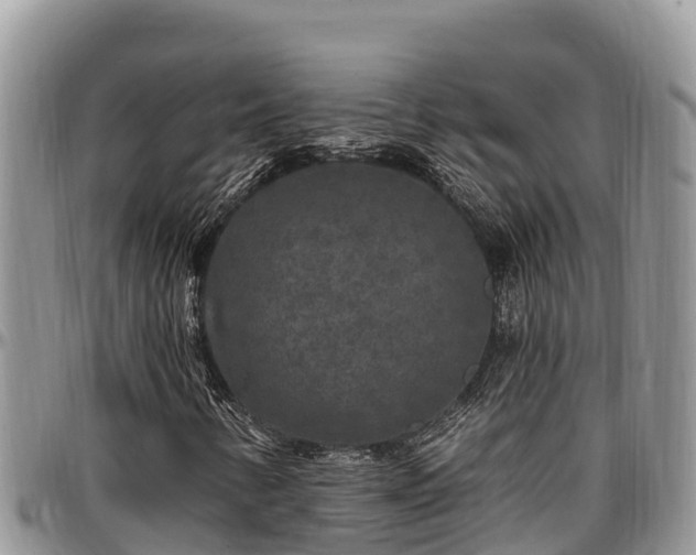 X0000097511346200802291610