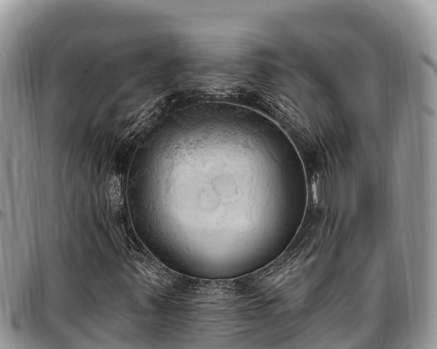 X0000097511347200802291610