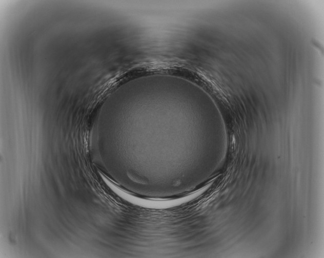 X0000097511348200802291610