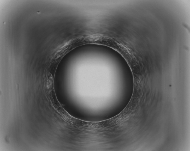 X0000097511349200802291610