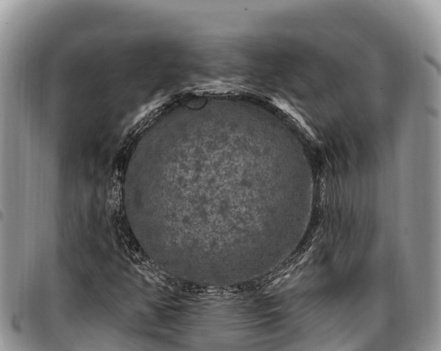 X0000097511350200802291610