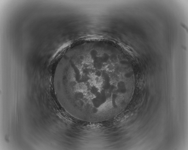 X0000097511351200802291610
