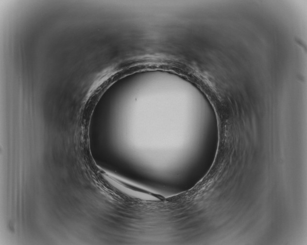 X0000097511352200802291610