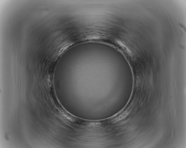 X0000097511353200802291610