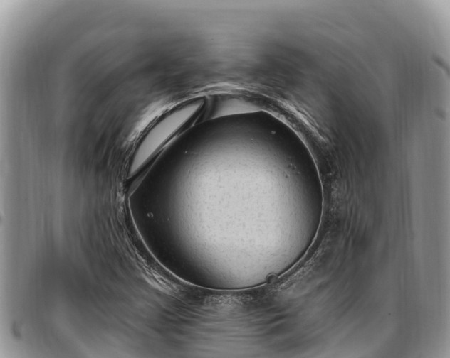 X0000097511355200802291610