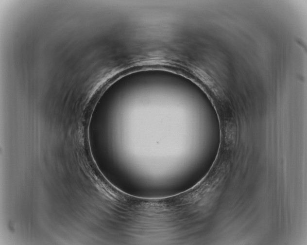 X0000097511356200802291610