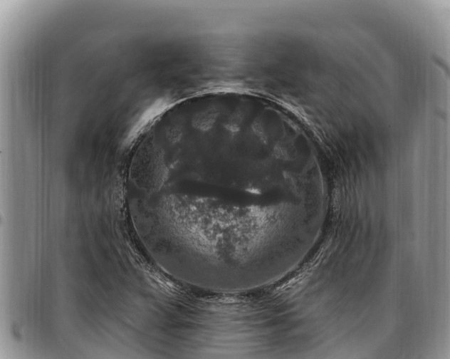 X0000097511359200802291610