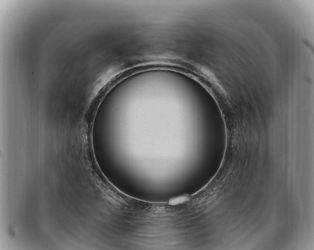 X0000097511360200802291610