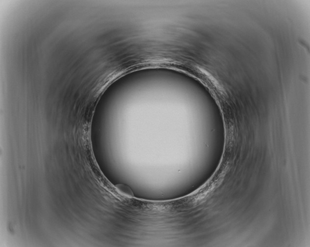X0000097511361200802291610