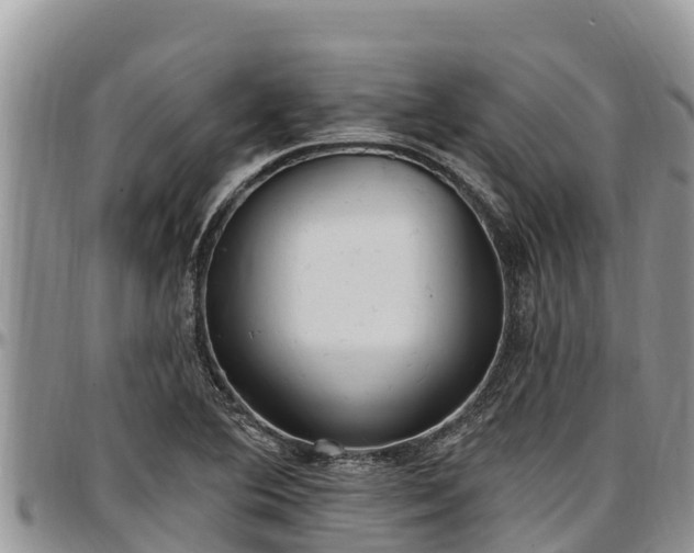 X0000097511364200802291610