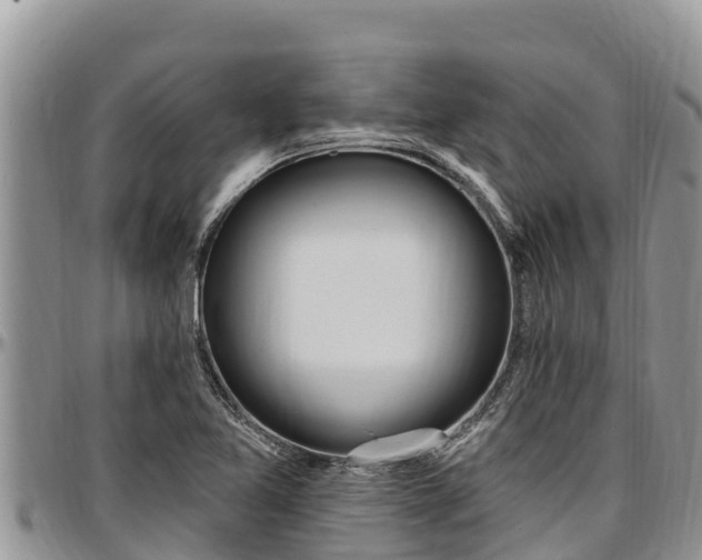 X0000097511365200802291610