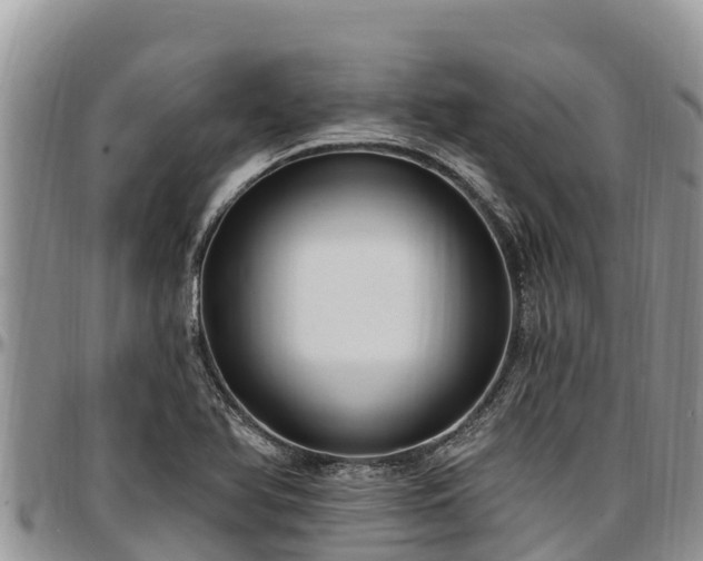 X0000097511366200802291610