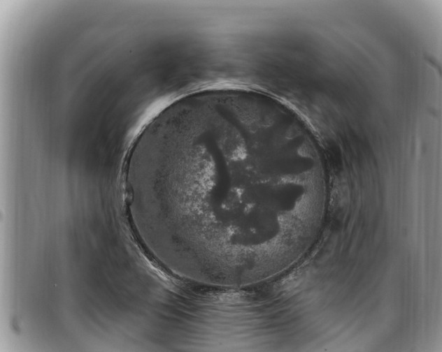 X0000097511367200802291610