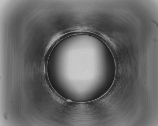 X0000097511368200802291610