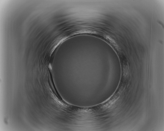 X0000097511369200802291610