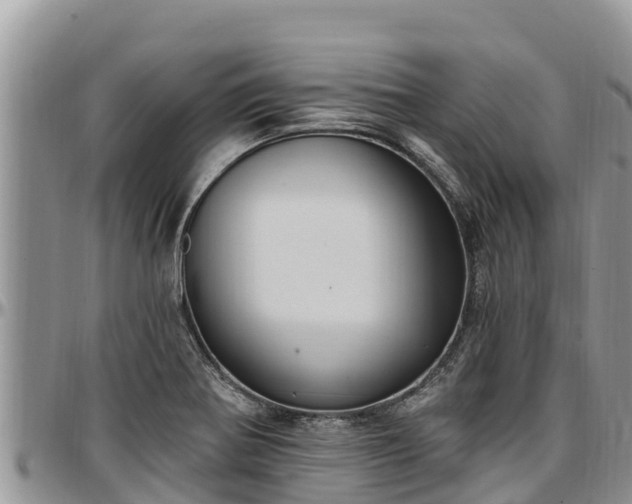 X0000097511370200802291610