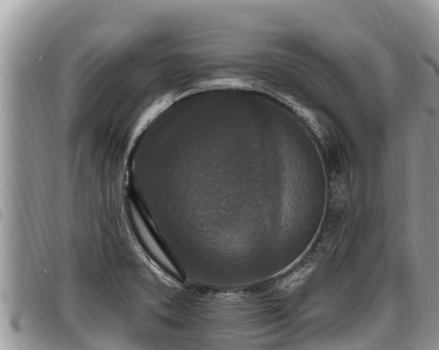 X0000097511373200802291610