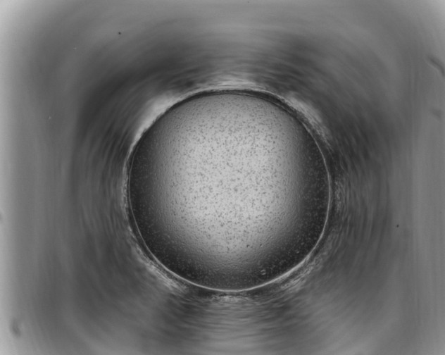 X0000097511374200802291610