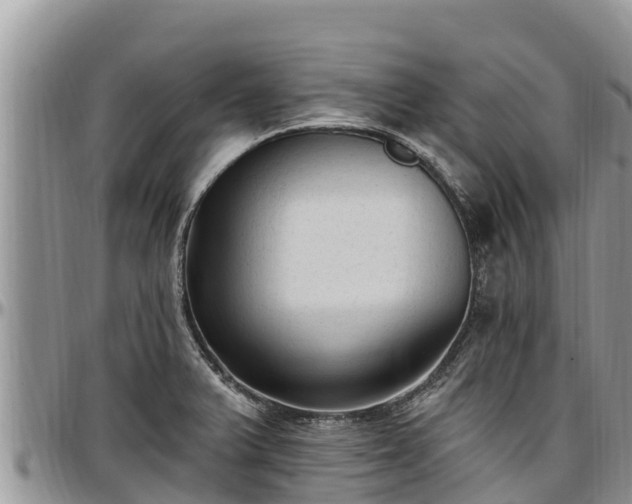 X0000097511375200802291610