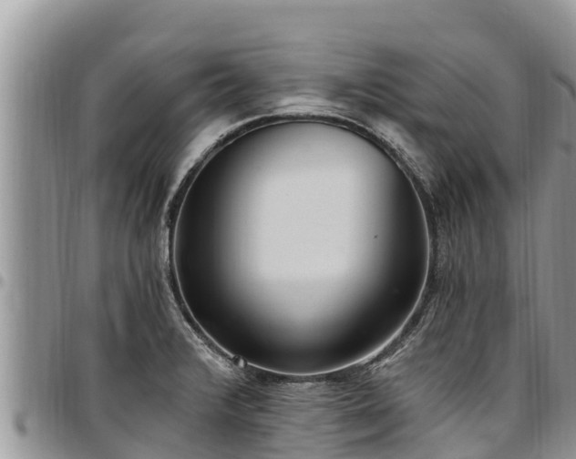 X0000097511376200802291610