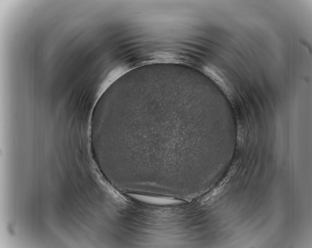 X0000097511378200802291610
