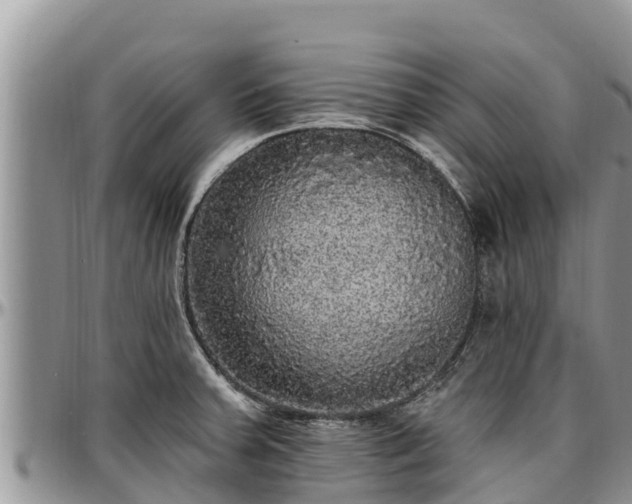 X0000097511379200802291610