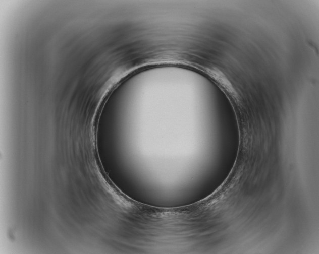 X0000097511380200802291610
