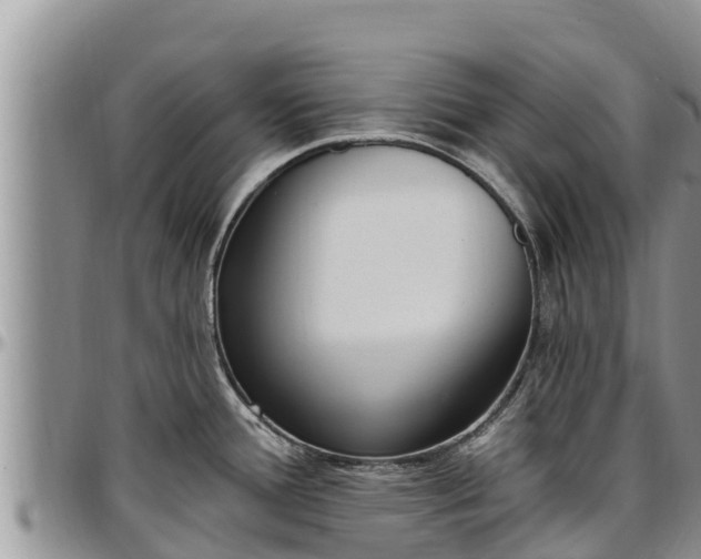 X0000097511388200802291610