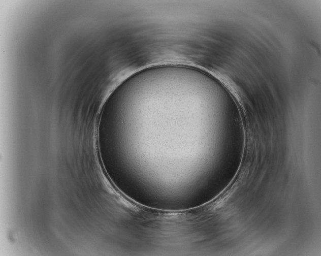 X0000097511390200802291610
