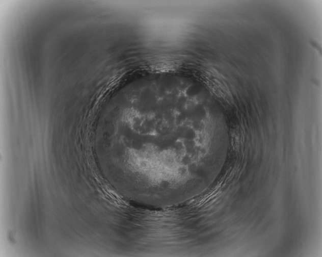 X0000097511393200802291609