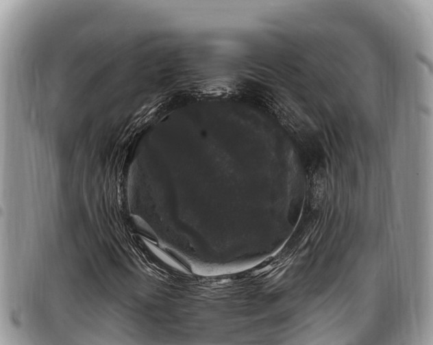 X0000097511394200802291609