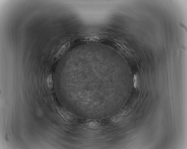 X0000097511395200802291609