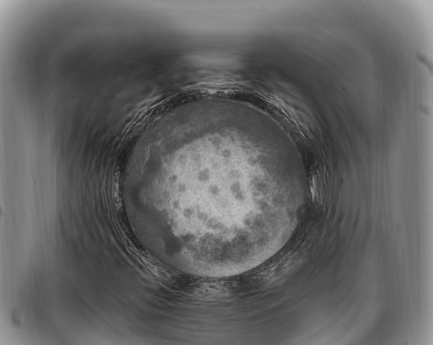 X0000097511396200802291609