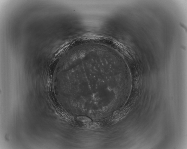 X0000097511397200802291609