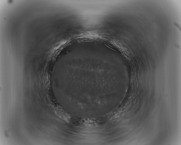 X0000097511398200802291609