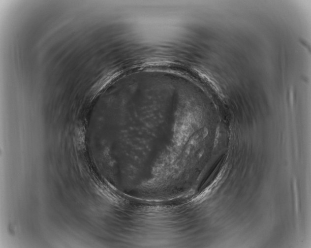 X0000097511401200802291609