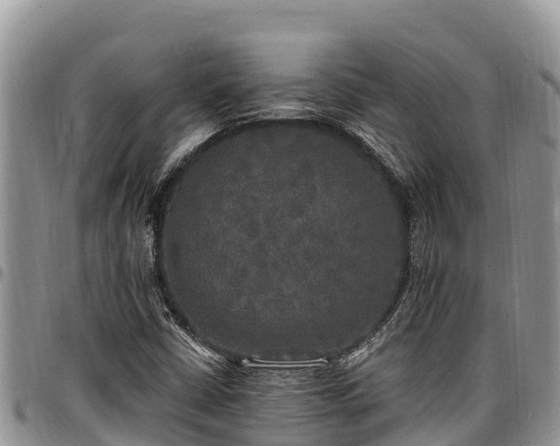 X0000097511402200802291609