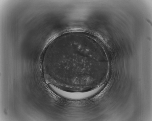 X0000097511405200802291609