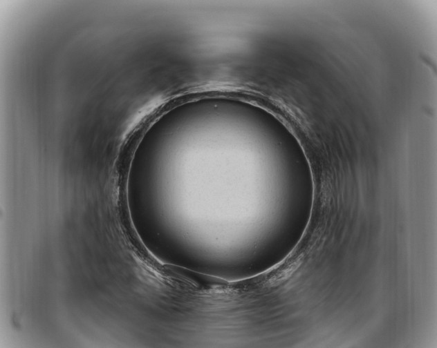X0000097511406200802291609